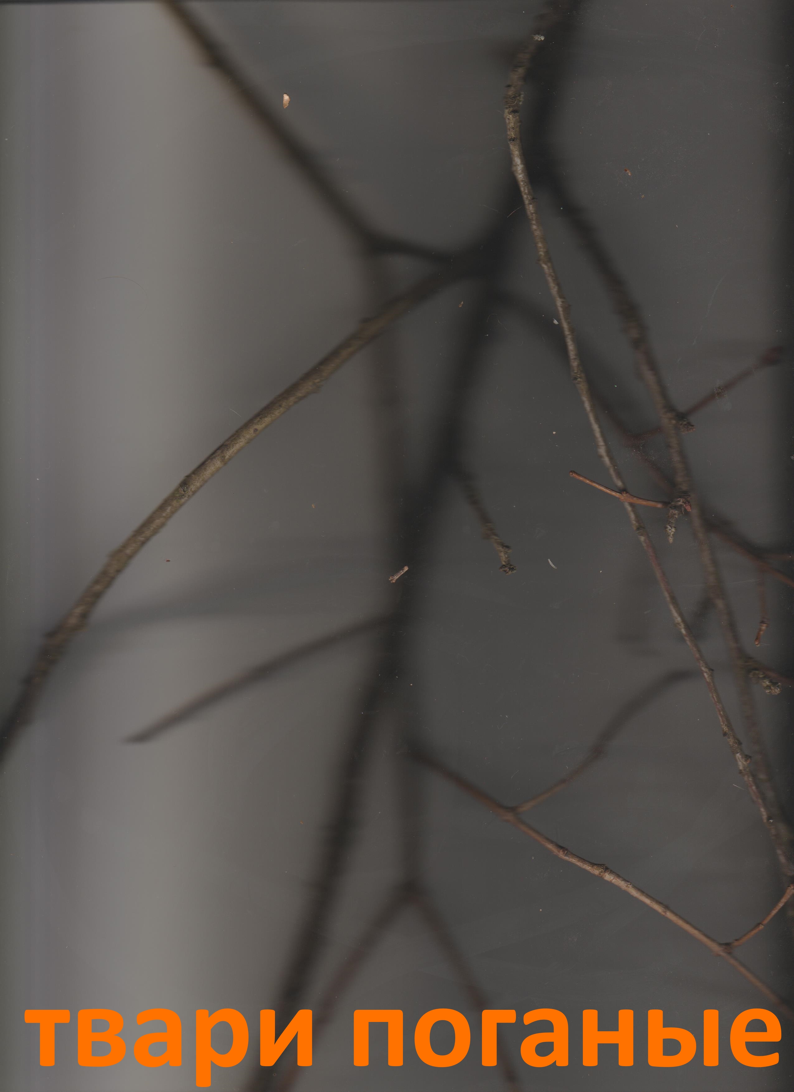 Free photo hosting by UploadFotos.com Free Image Hosting