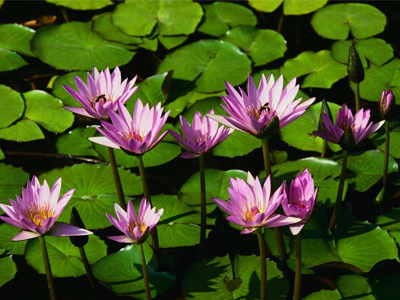 Free photo hosting by UploadFotos.com Free Image Hosting