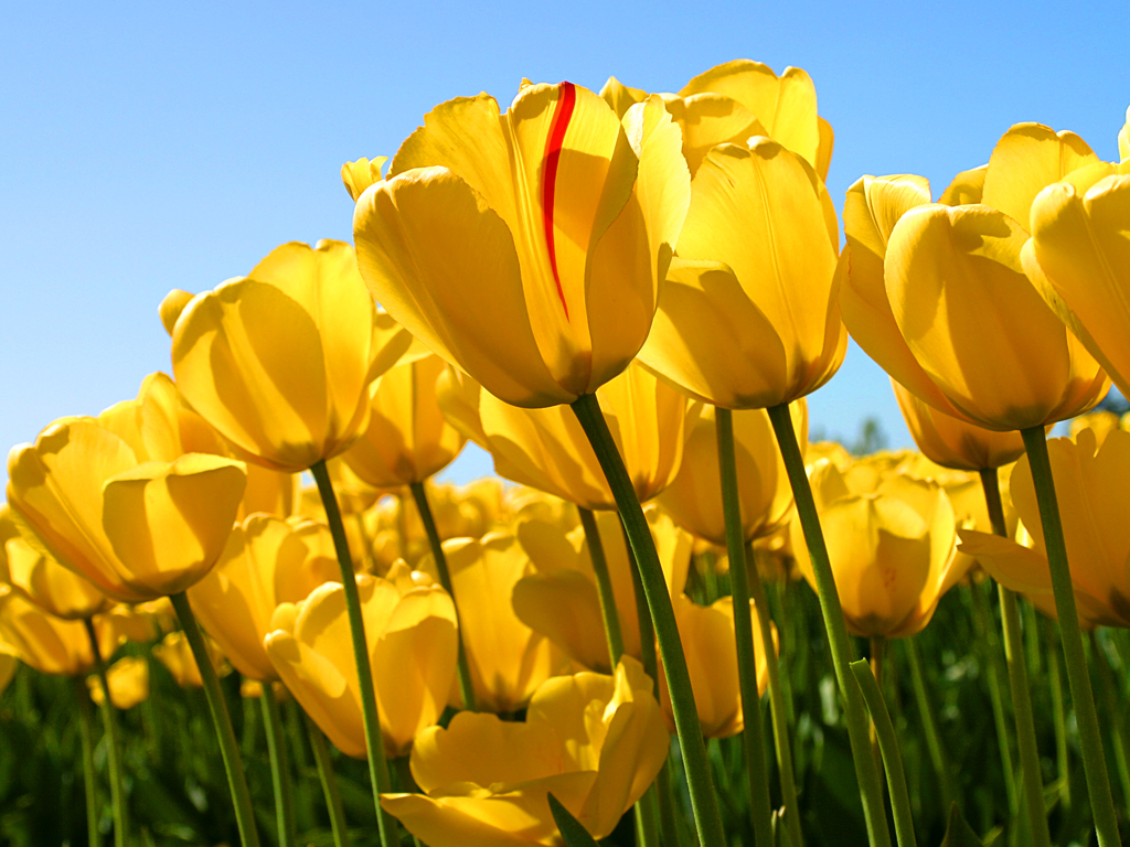 Free photo hosting by UploadFotos.com Free Image Hosting