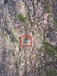 945_IMG_5591.jpg